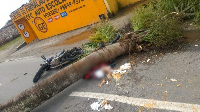 Árvore cai e mata motociclista em Maceió