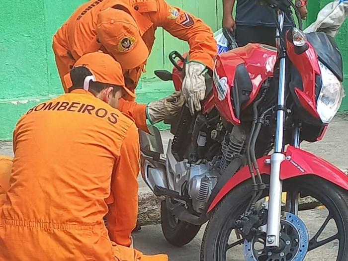 Vídeo: Bombeiros encontra cobra dentro do motor de motocicleta no Centro de São Miguel dos Campos