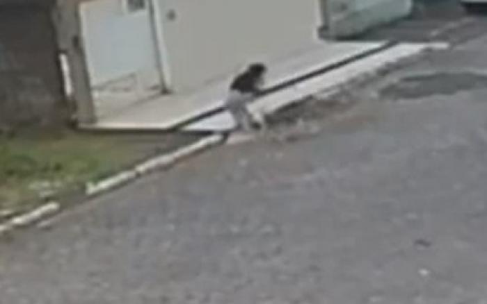 Pitbull solto na rua ataca cadela e tutora no bairro do Clima Bom