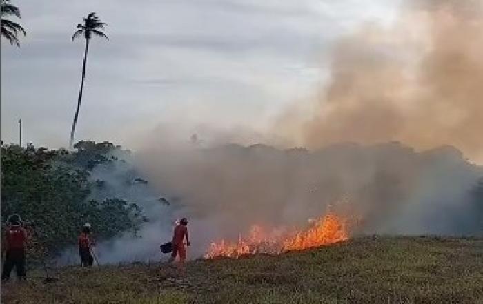 Incêndio em vegetação mobiliza Corpo de Bombeiros em Marechal Deodoro