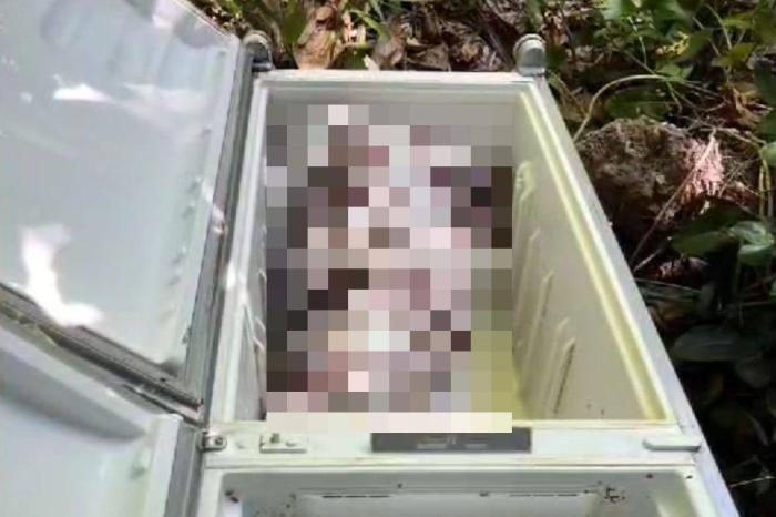 Audiência de instrução e julgamento do caso de garçonete achada morta em geladeira é marcada