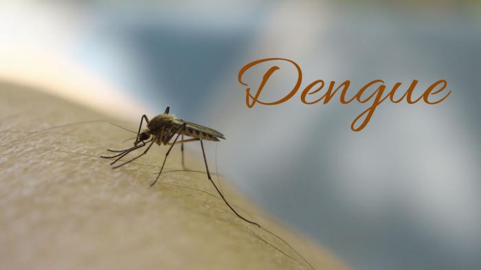 Alagoas registra terceiro óbito por dengue neste ano